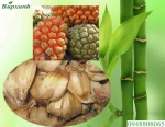 Dứa Dại