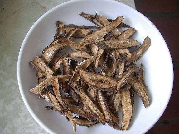 Củ ngưu bàng Củ ngưu bàng