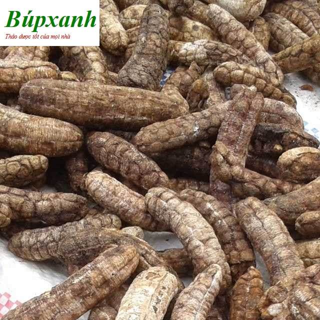 Chuối hột rừng Chuối hột rừng