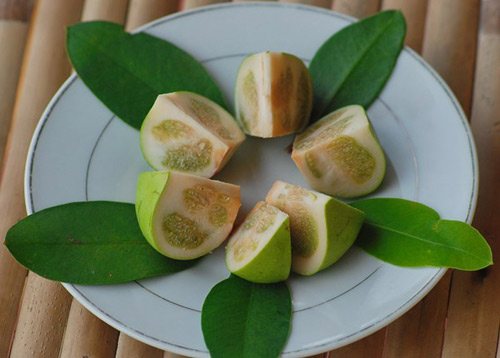 Cây bần Cây bần