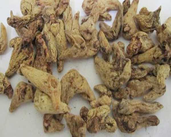Bạch Cập Bạch Cập