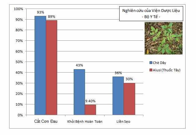 biểu đồ tác dụng của chè dây