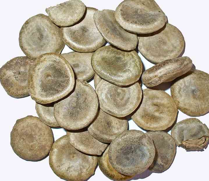 hat_ma_tien_kho