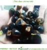 Cây chuối cô đơn