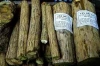 Rễ cây mật gấu