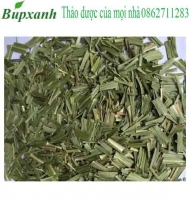 Cây lá nếp