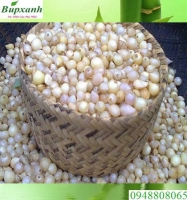 Củ nắng