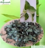 Cây dấp cá