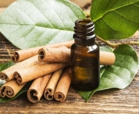 Tinh dầu quế