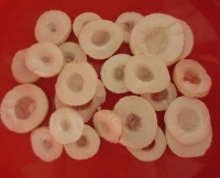 Cây thuốc lợi sữa