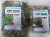 Bán cây xạ đen - địa chỉ bán lá xạ đen