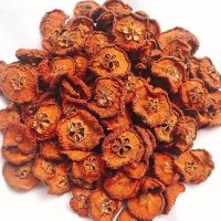 Táo mèo có công dụng chữa mỡ máu và người bị cao huyết áp cao