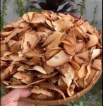 Cây mẹ thuốc - cách lông vàng