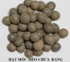 Hạt Móc Mèo – Dược Liệu Dân Gian Hỗ Trợ Ung Bướu, Thanh Nhiệt Và Giải Độc Tự Nhiên