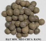 Hạt Móc Mèo – Dược Liệu Dân Gian Hỗ Trợ Ung Bướu, Thanh Nhiệt Và Giải Độc Tự Nhiên