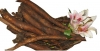 Củ Gai Chữa Động Thai