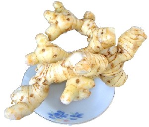 Củ riềng khô