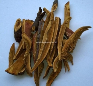 Nấm Lim Xanh Tự Nhiên 250g