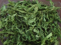 Bán lá cây bìm bịp chữa ung thư