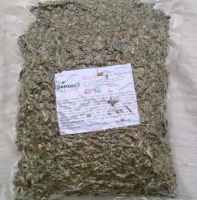 Chè dây có chữa được bệnh đau dạ dầy