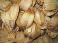 Quả dứa dại chữa sỏi thận viêm gan