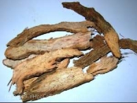 Chữa đau nhức bằng cây thiên niên kiện