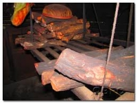 Cây ỏ máu mọc ở đâu, tác dụng cây cỏ máu