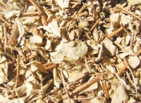 Địa chỉ bán cây kim tiền thảo