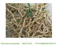 Địa chỉ bán xáo tam phân tại tuyên quang