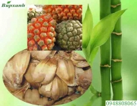 Dứa dại chữa bệnh gì