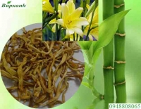 Hoa kim châm chữa bệnh gì