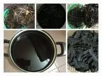 Cách sử dụng trái bồ kết gội đầu