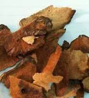 Bài thuốc chữa bệnh từ thổ phục linh