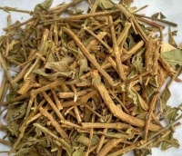 Những loại thảo dược chữa bệnh dạ dày hiệu quả