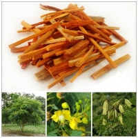 Cây tô mộc chữa bệnh gì