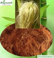 Râu ngô chữa bệnh gì