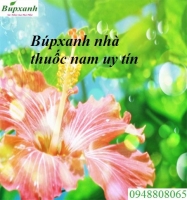 Địa chỉ nhà thuốc nam tại bình thuận