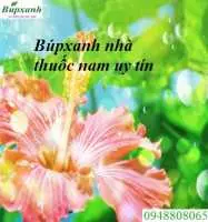 Địa chỉ nhà thuốc nam tại hà tây