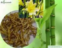 Tìm hiểu về cây hoa hiên