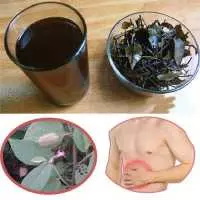 Những lý do nên sử dụng cao an xoa để chữa bệnh