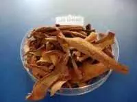 Cốt toái bổ dùng chữa đau nhức, thoát vị đĩa đệm