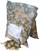 Mua cây xạ đen ở đâu tốt