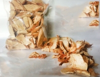 Rễ chùm ngây phương thuốc hữu hiệu cho người cao huyết áp và phòng ngừa bệnh tật  như thế nào?