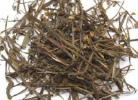 Bán chi liên vị thuốc không thể thiếu trong việc hỗ trợ điều trị ung thư