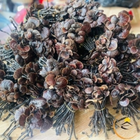 Nấm cổ cò phòng ngừa ung bướu