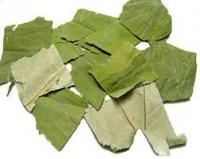 Lá sen khô – Dược liệu thanh nhiệt, giảm mỡ máu và hỗ trợ an thần trong Đông y