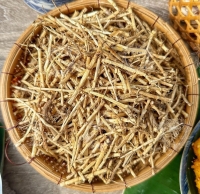 Rễ cỏ tranh – Vị thuốc dân dã thanh nhiệt, lợi tiểu, mát gan trong Đông y