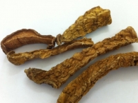 Củ Bình Vôi Chữa Mất Ngủ, An Thần Sâu Và Kháng Sinh Tự Nhiên An Toàn