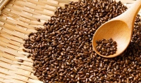 Địa Chỉ Bán Hạt Muồng Uy Tín Chất Lượng Cao Giá Tốt Tại Búp Xanh