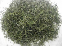Trà Giảo Cổ Lam Giúp Trường Thọ